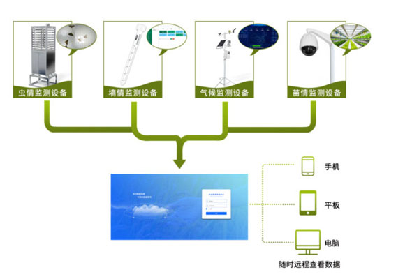 農業(yè)四情監(jiān)測系統(tǒng)解決方案